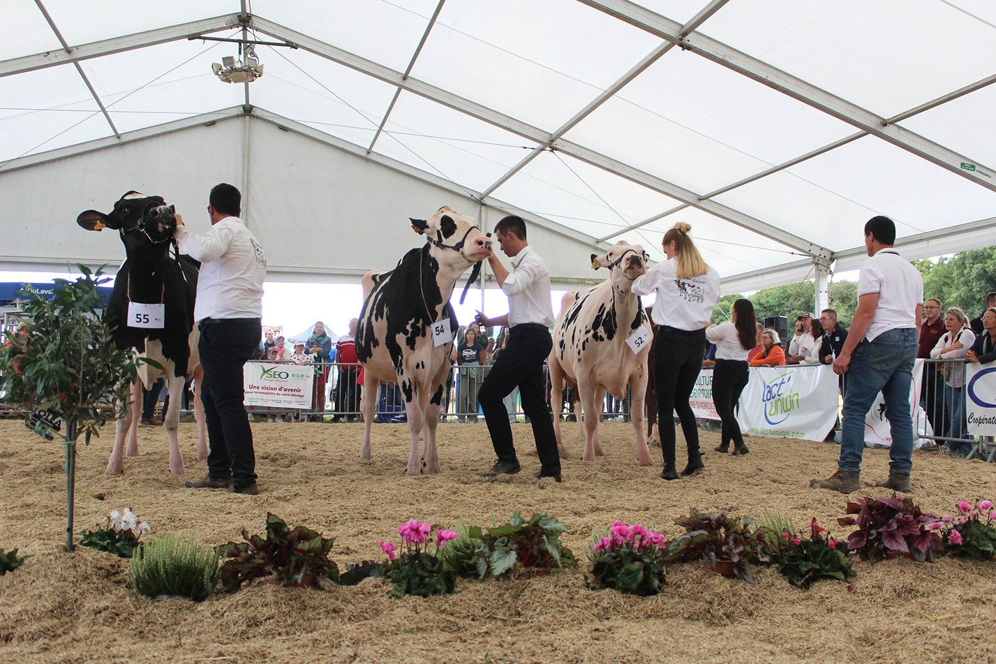 Cette année, la foire de Montdidier du 6 avril n’accueillera pas de concours bovin laitier. Rendez-vous à Terre en fête à Arras du 5 au 7 juin, puis à Plaine en fête à Candas les 29 et 30 aout. 