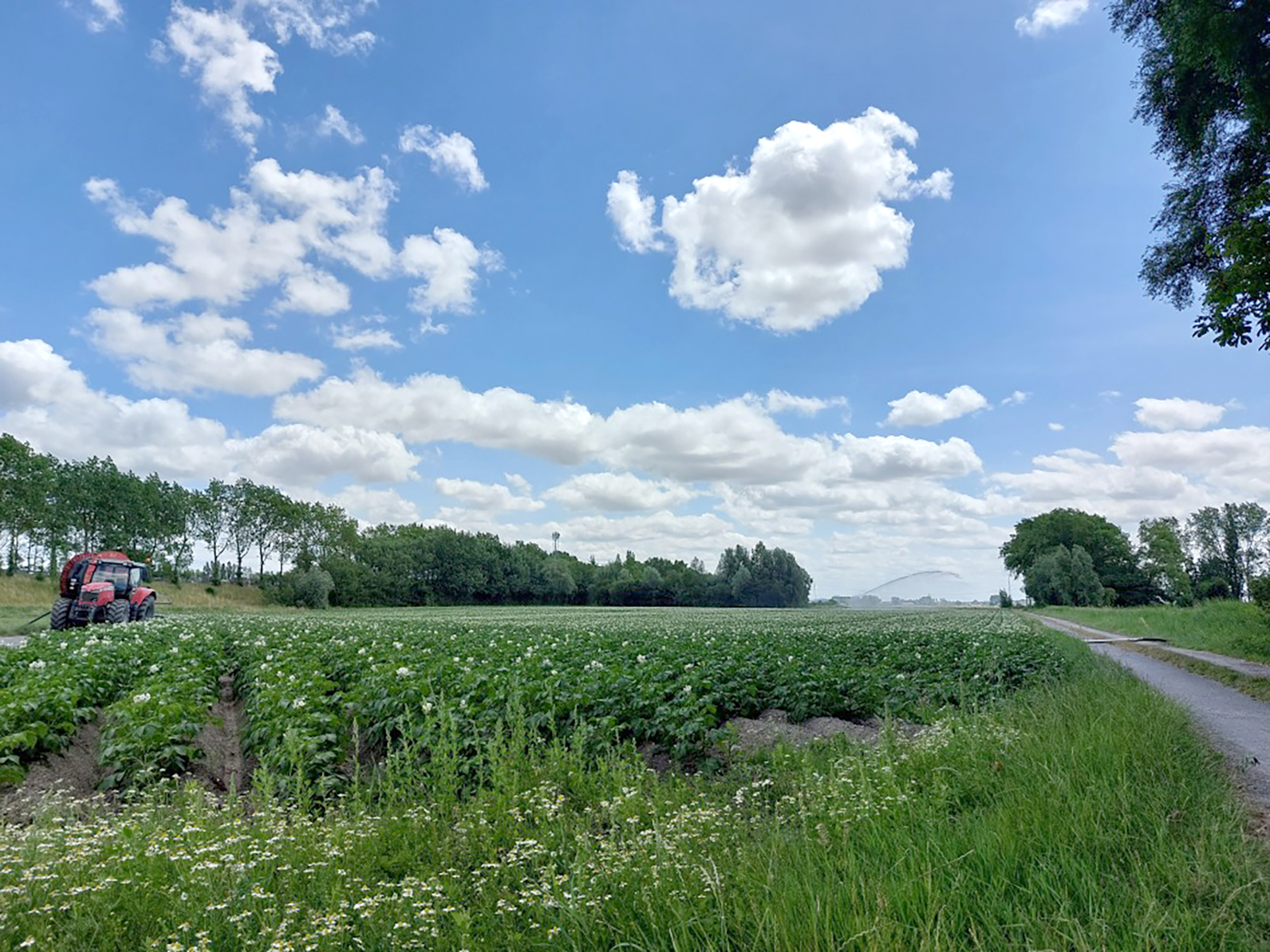 Le labour, l'irrigation ou les rotations culturales seront à revoir en fonction de l'adaptation au changement climatique. 