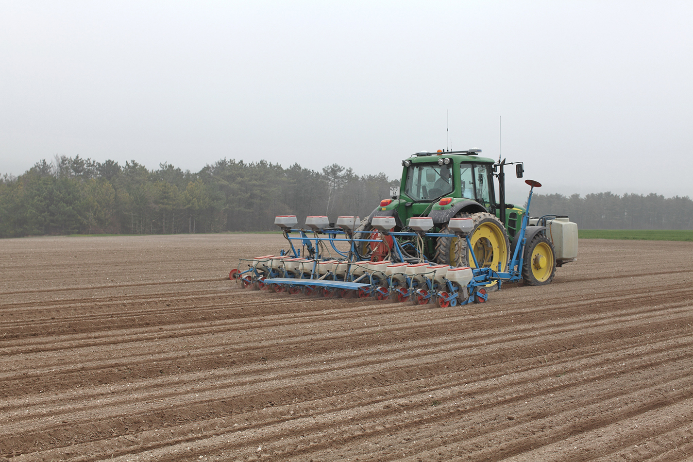 La date de levée (et non de semis) conditionne le potentiel de rendement : l’idéal est que toutes les betteraves soient levées pour la fin mars. 