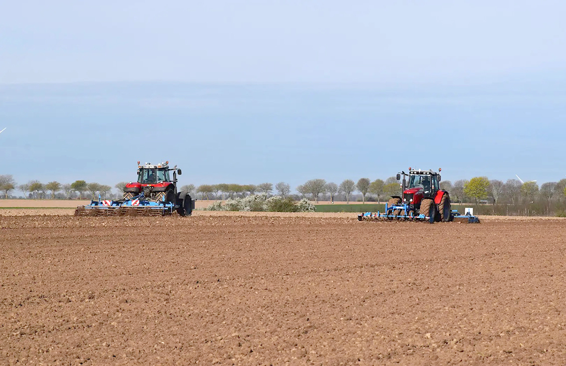 Les conditions doivent être réunies pour un départ vigoureux de la plante. 