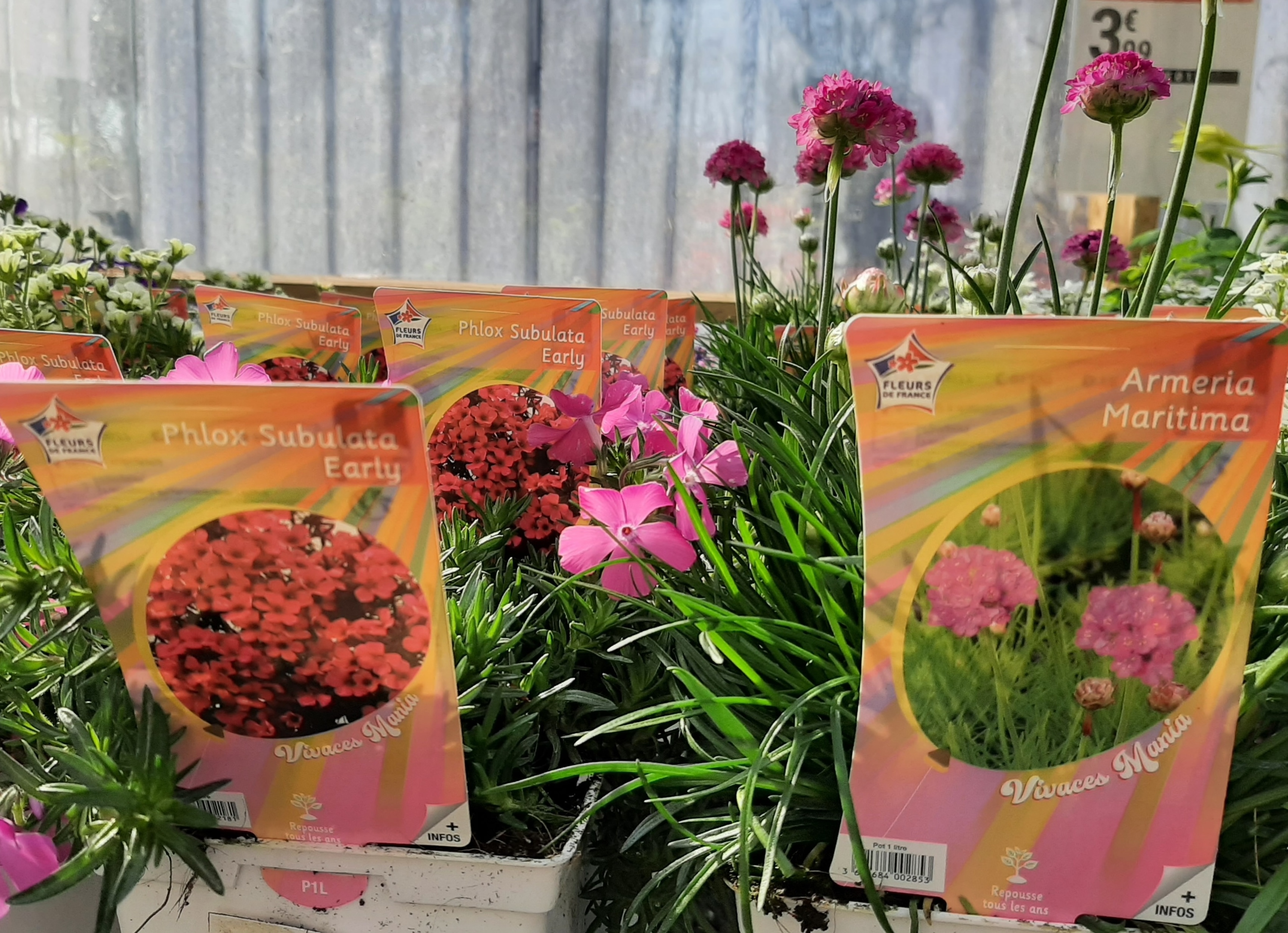 label fleurs et plantes pour jardin étude