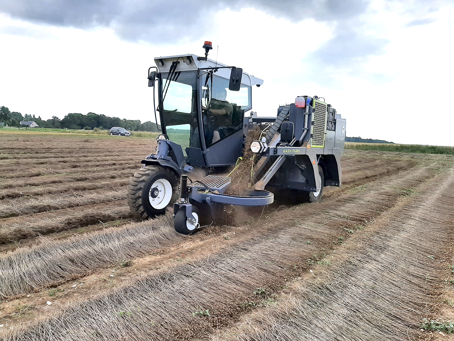 L’arrachage du lin reste une étape délicate, fortement dépendante des conditions climatiques.