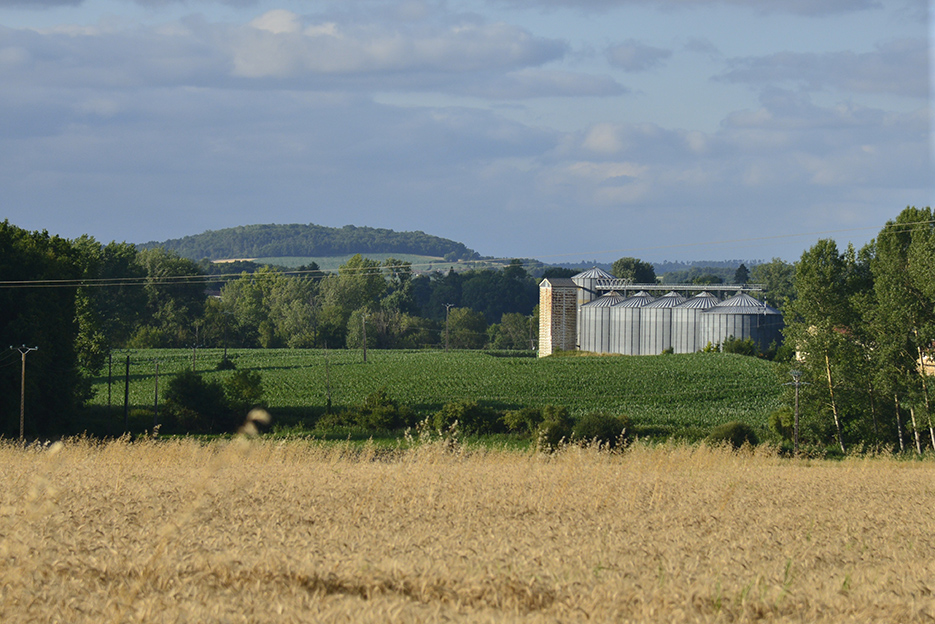 La hausse des coûts de production devrait se répercuter sur les prix, mais ce n'est pas le cas. 