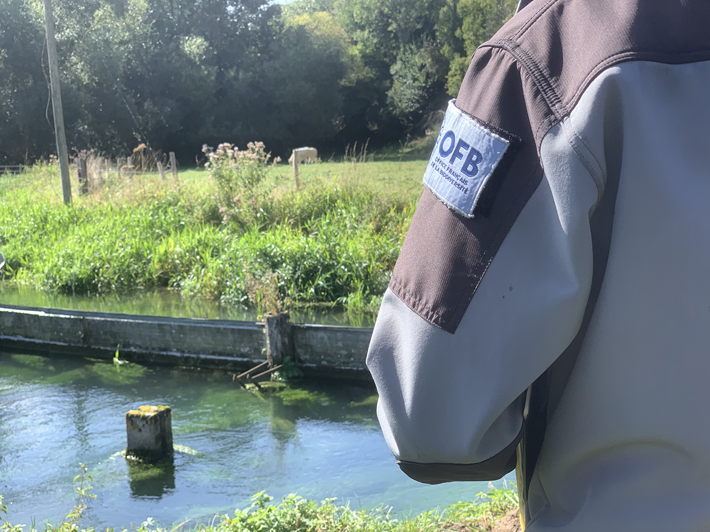 Ce bilan des contrôles doit permettre de mettre le doigt sur les points à améliorer dans les fermes, pour réduire le nombre  de non-conformités à l’avenir. 