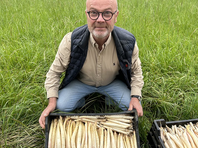 Aux Vergers du Santerre, Antoine et Maxime Vanoye, son fils, cultivent plusieurs variétés d’asperges blanches et vertes. 