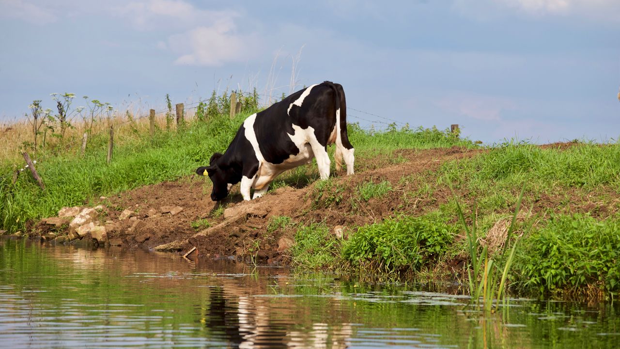 journée mondiale des prairies naturelles agence de l'eau Artois Picardie