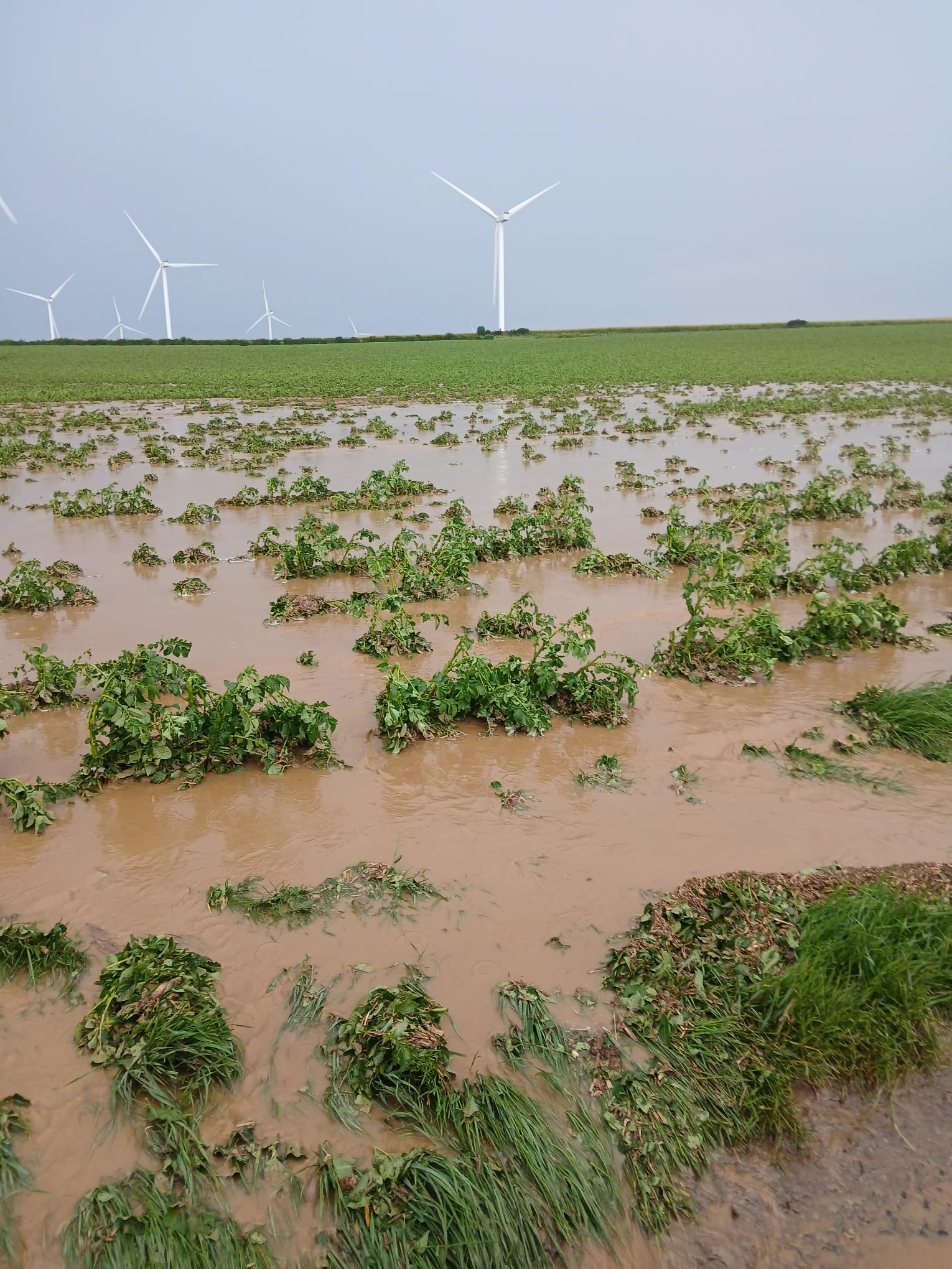 dégâts indemnisations orages intempéries