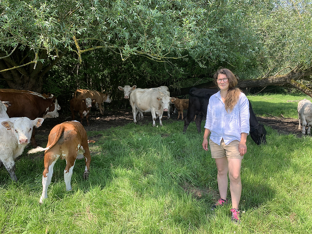 À Fontaine-sur-Somme, Maïté Sannier mise sur des prairies diversifiées pour bien nourrir ses vaches. 
