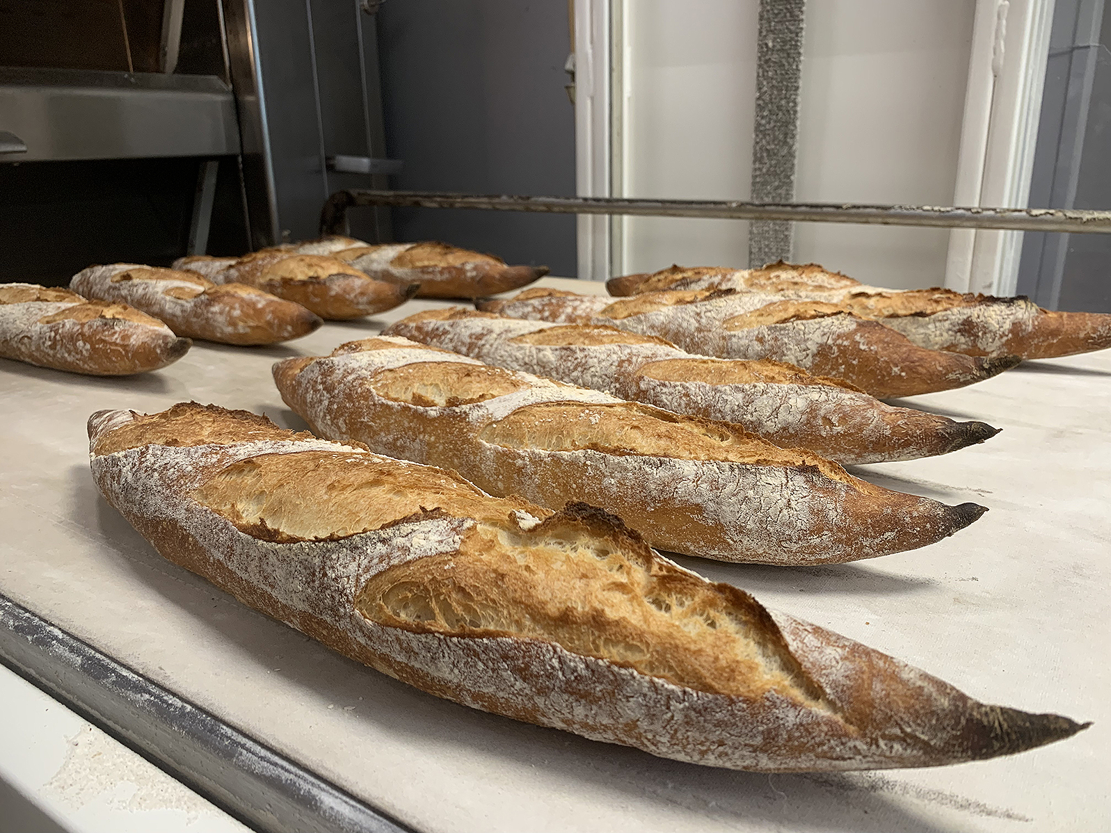 Dans son cycle de vie, l’Avocette génère 123,63 g de CO2, contre 387 g de CO2 pour une baguette classique. 
