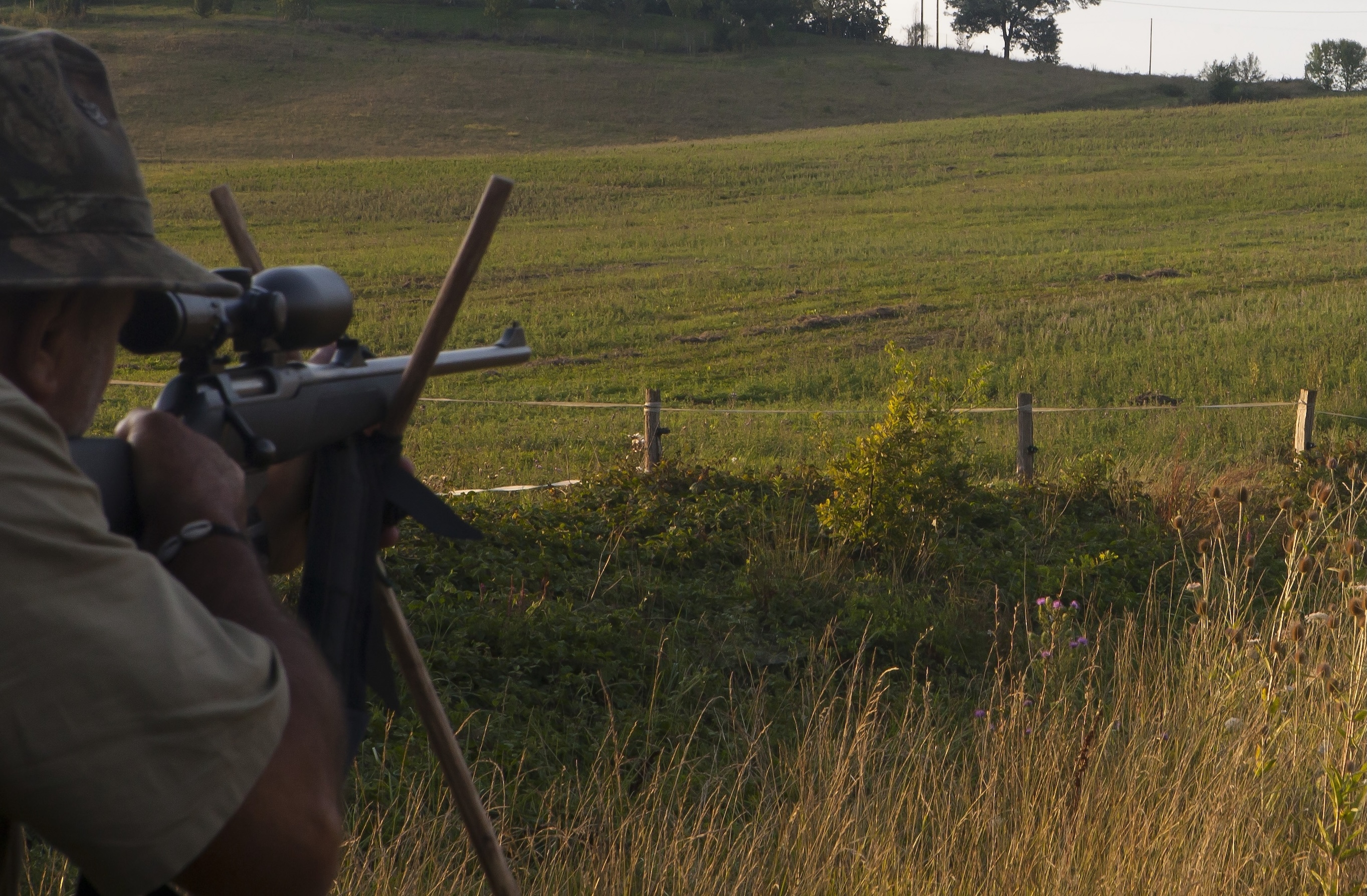 chasse d'été du grand gibier ouverture anticipée One Voice