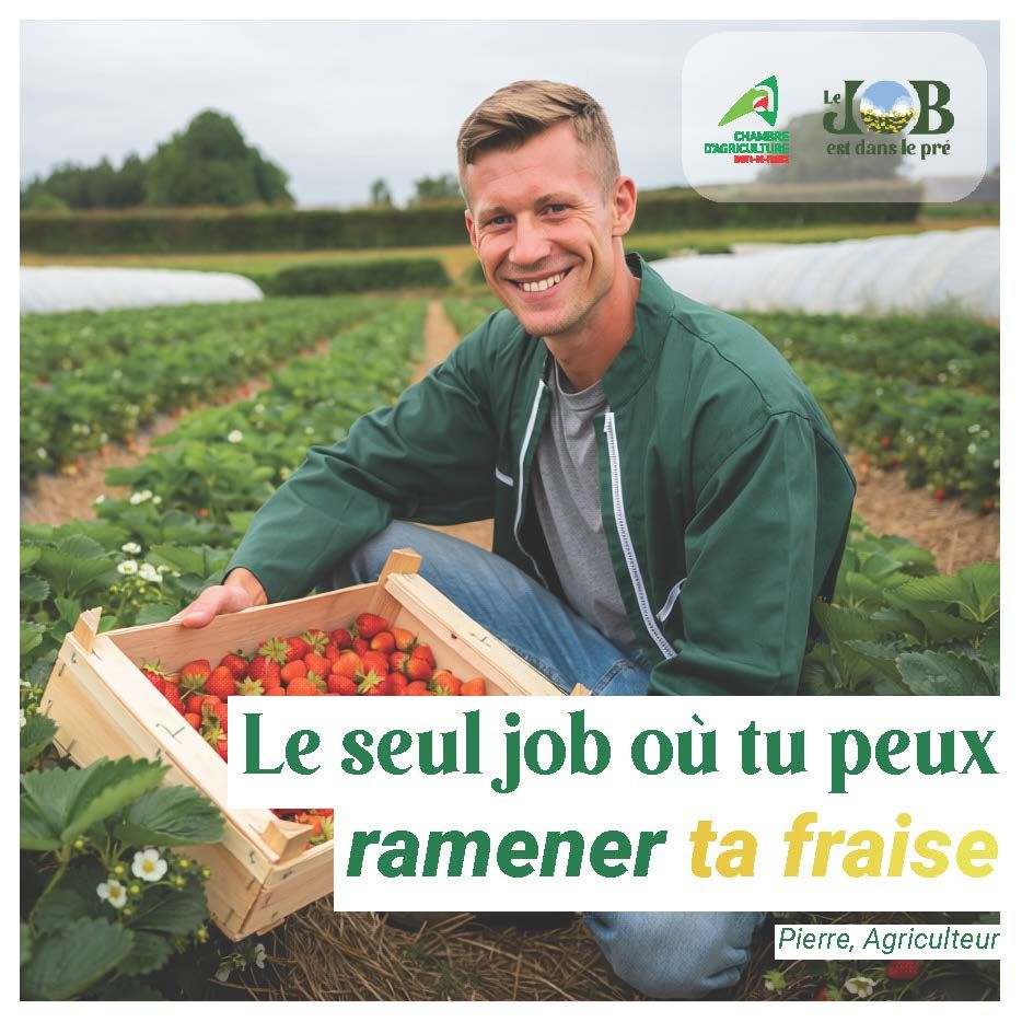 Terres en Fête emploi Le job est dans le pré