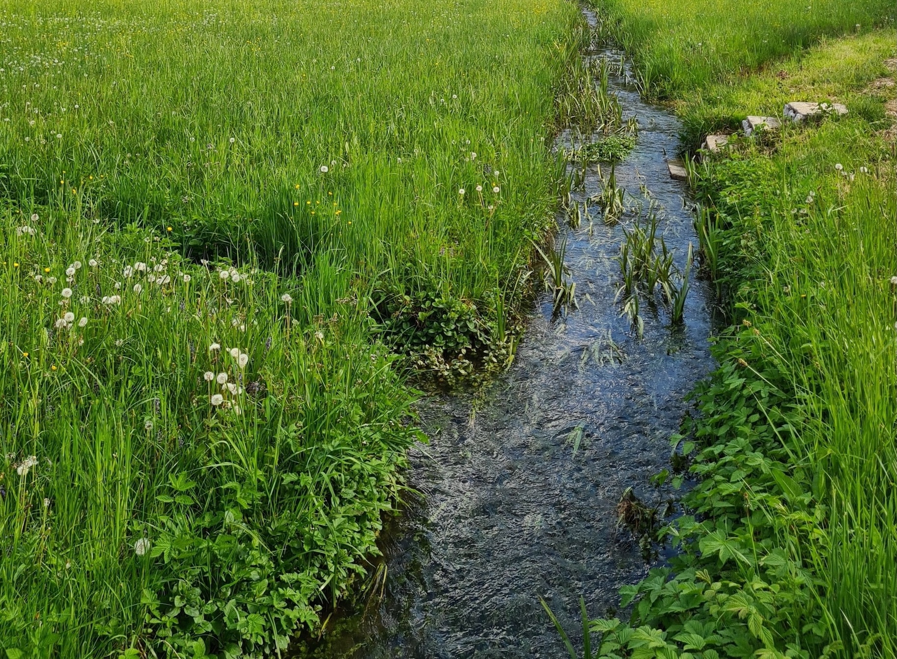 vigilance sécheresse Somme gestion de l'eau