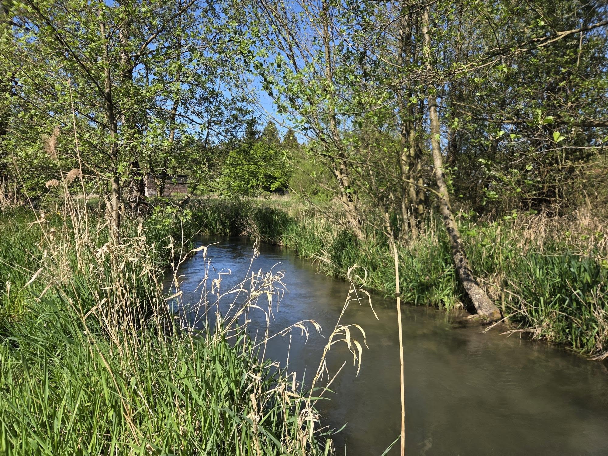 gestion de l'eau cours d'eau rivières vigilance sécheresse irrigation
