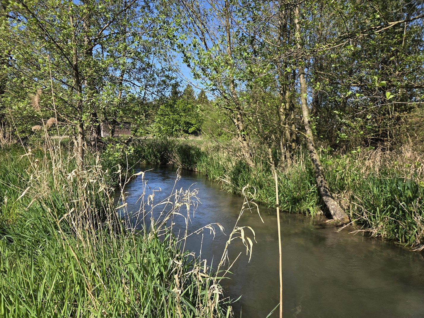 Si les nappes phréatiques, bien rechargées durant l'hiver, conservent un niveau satisfaisant, les cours d'eau souffrent désormais d'un déficit pluviométrique installé depuis plusieurs semaines.