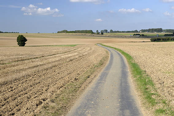 Ce 15 juillet, plus de 90 % des récoltes ont été levées dans l'Oise