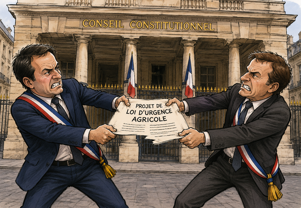 recours devant le Conseil constitutionnel loi d'urgence agricole