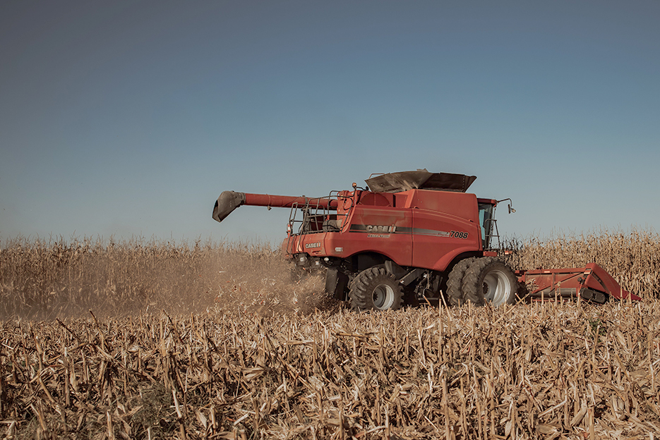 En vingt-cinq ans, l’Union européenne aurait ainsi perdu près de 2 millions d’hectares de maïs et serait devenue structurellement dépendante du marché mondial.