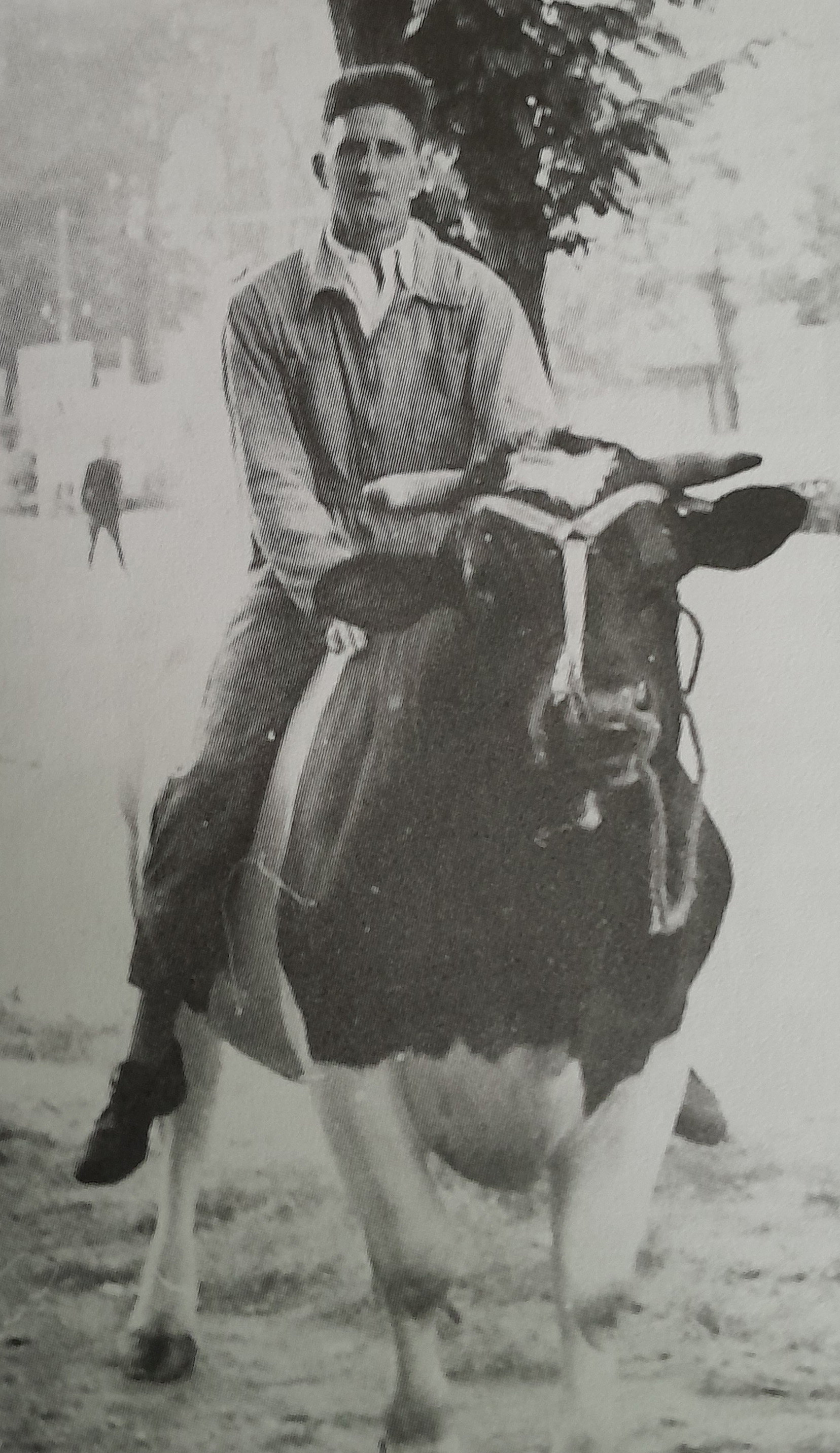 Marcel Deneux
