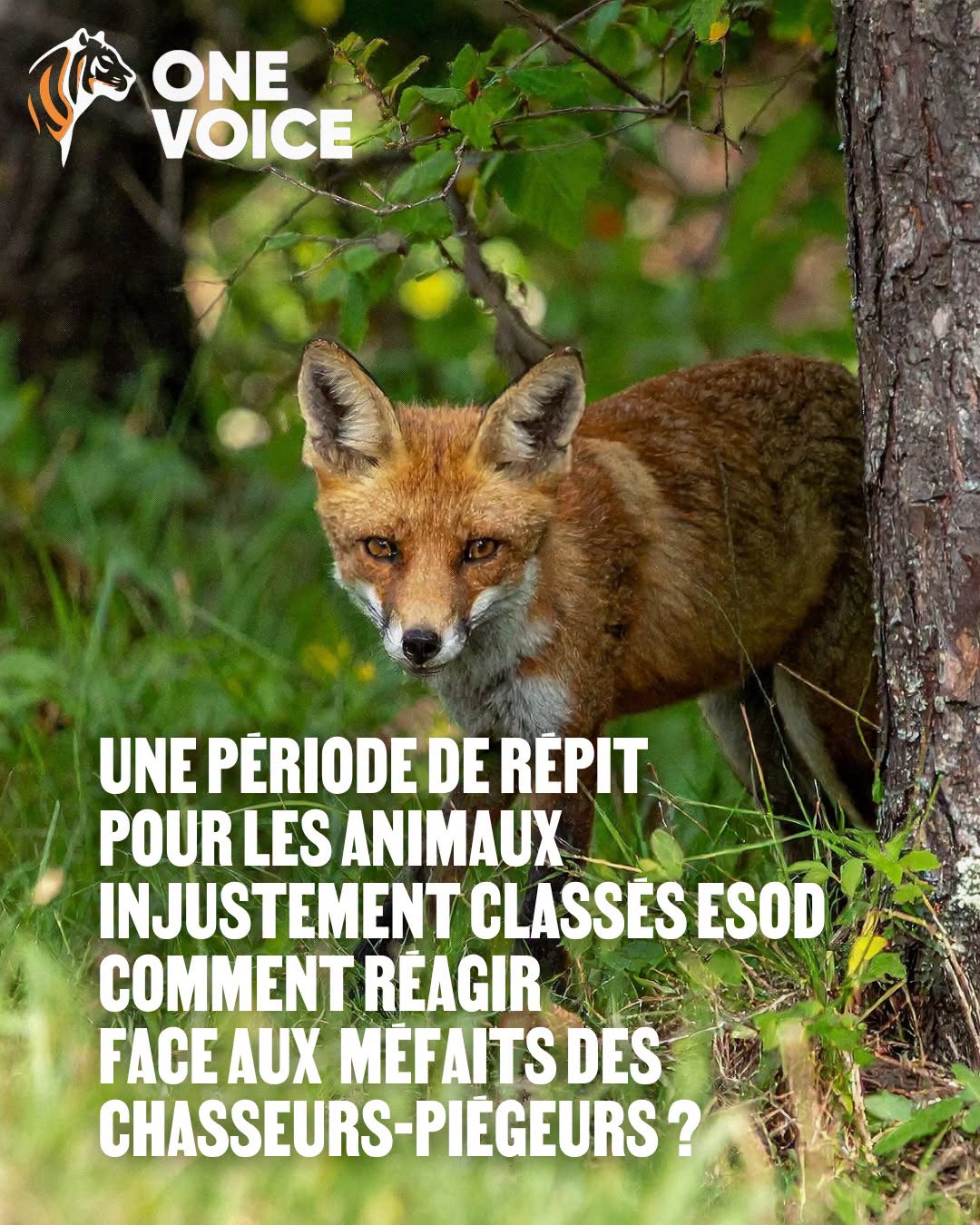 ESOD piégeage Monique Barbut ASPAS One Voice