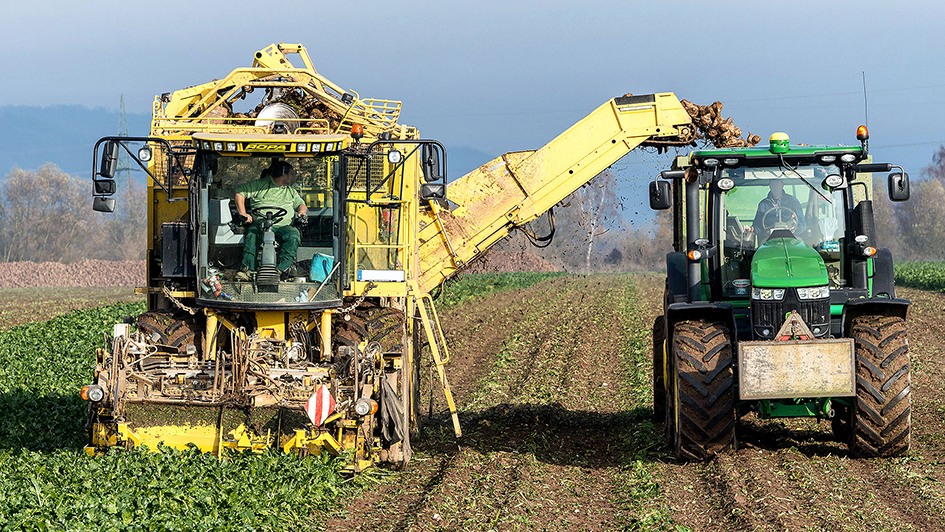 La situation serait très variable selon les secteurs.