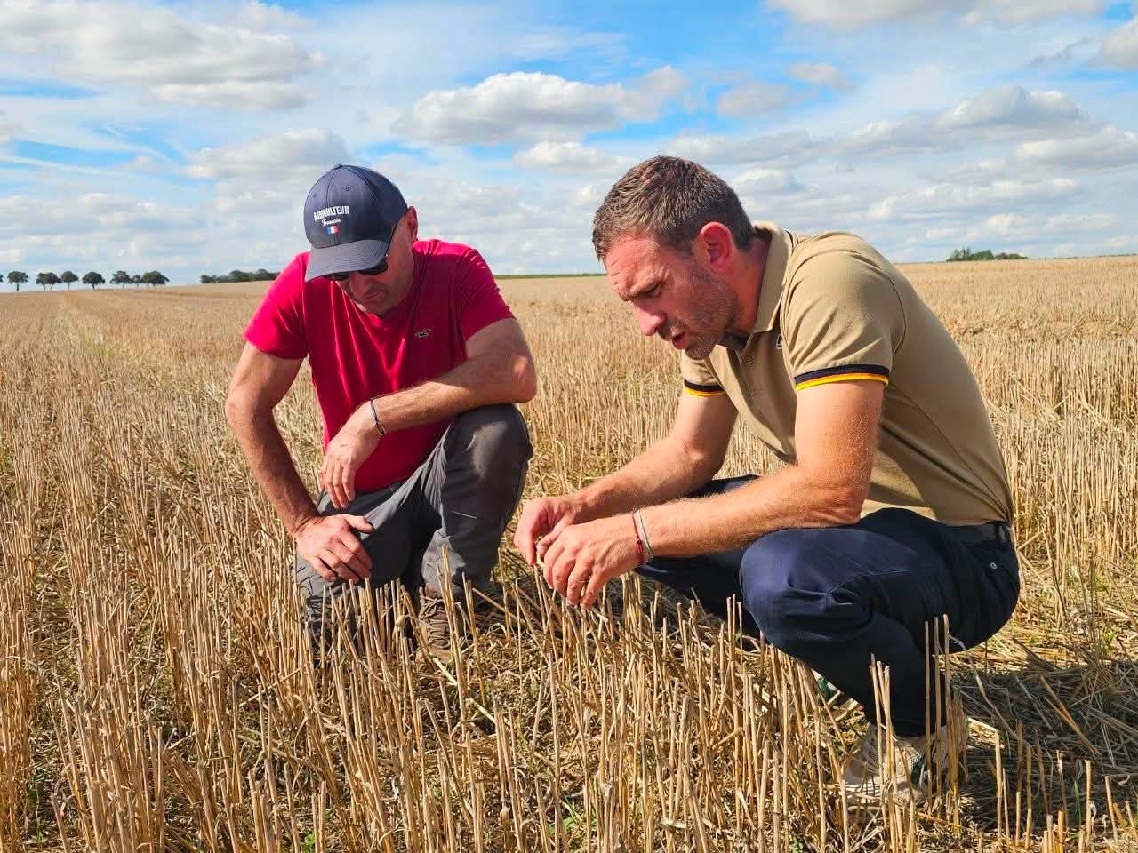 loi de programmation agricole Julien Dive 