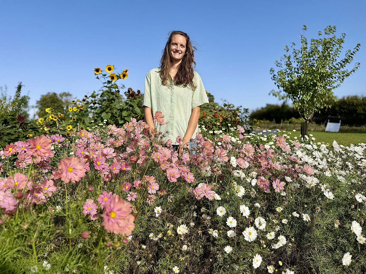 Clarisse a ouvert la ferme florale du P’tit Quesnoy il y a quatre ans. 