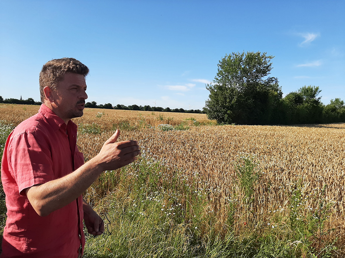 L'exploitation d'Éric Proot compte déjà environ 3,5 kilomètres de haies champêtres bien développées, mais l'agriculteur ne compte pas s'arrêter là. 