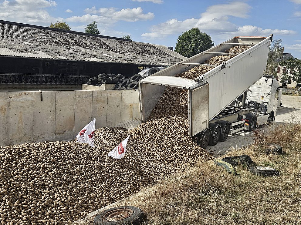 Vingt-trois camions ont livré des pommes de terre dans treize exploitations  différentes sur le département de la Mayenne.  