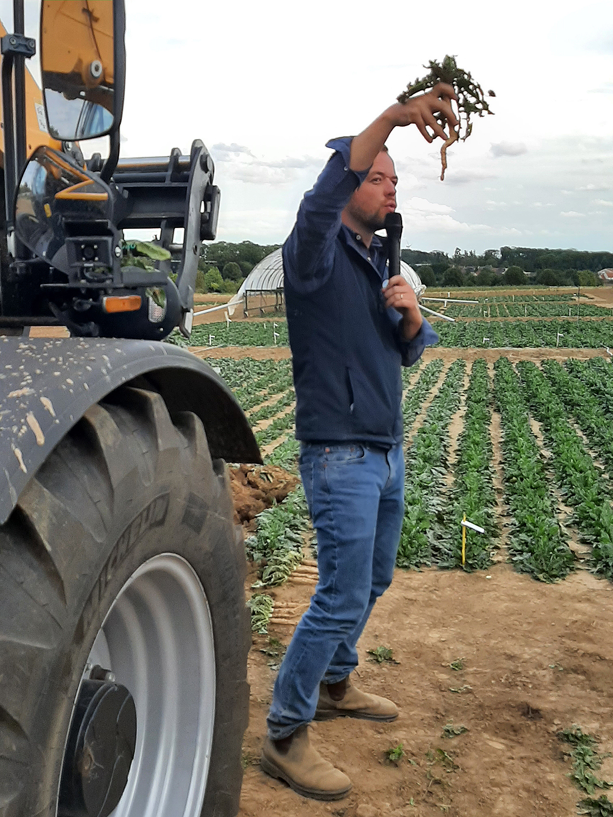 Fondateur de Green Sol, Théo Sergheraert a partagé son expérience  et ses conseils avec les producteurs d’endives de l’Apef, le 27 août dernier. 
