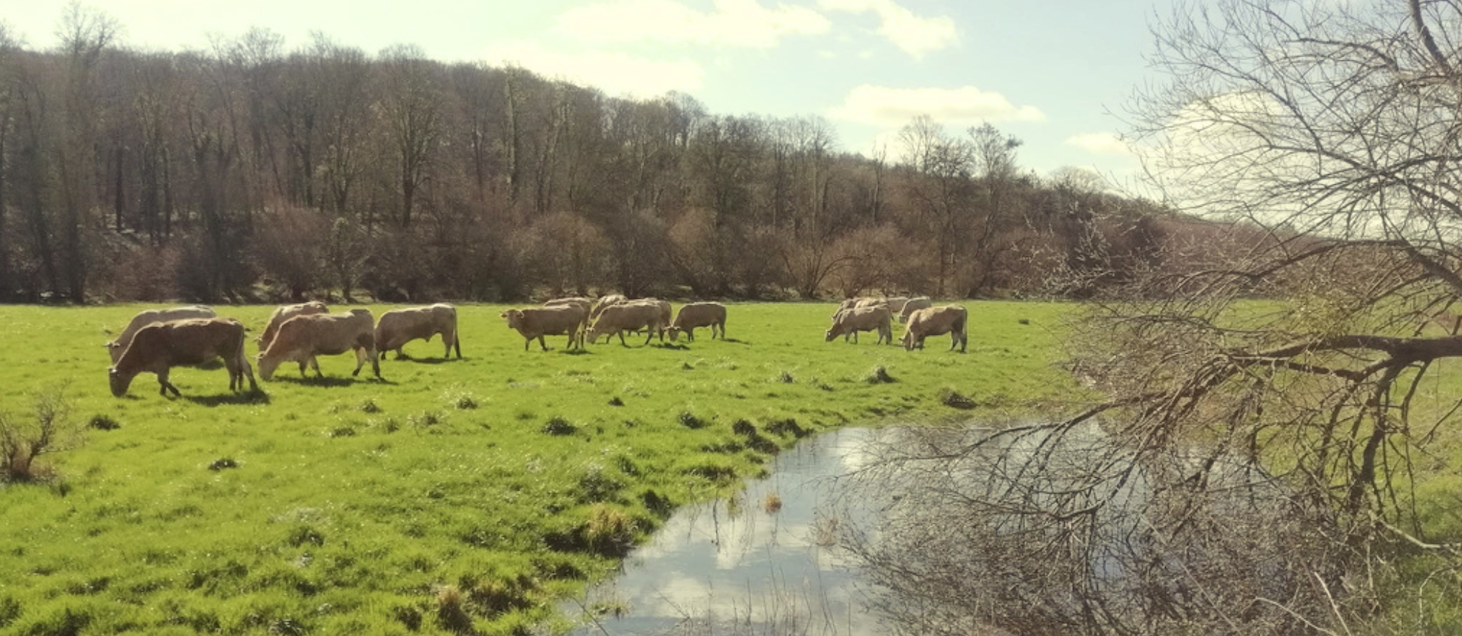 Initiatives paysannes agriculture paysanne