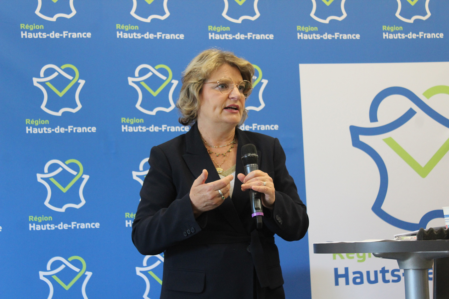 Marie-Sophie Lesne invite les agriculteurs a rapidement se saisir  des nouvelles aides.