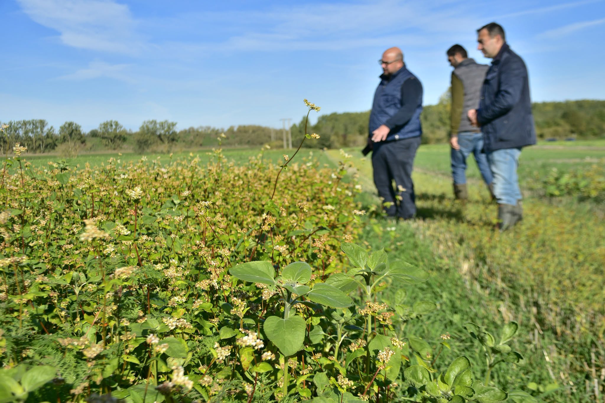 partenariat Groupe Carré Fédération des chasseurs du Nord