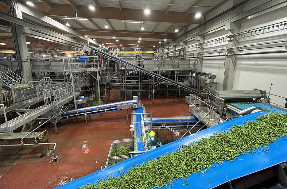110 000 tonnes de conserves et 75 000 tonnes de surgelés sont produites  à l’année par le site Bonduelle d’Estrées-Mons, dans la Somme. 