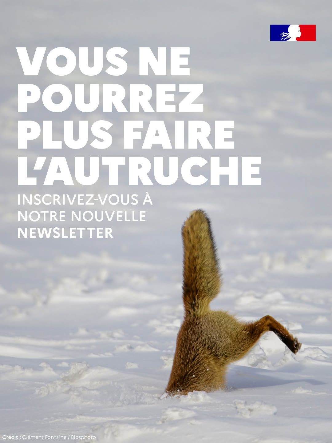 newsletter OFB Le fil du vivant