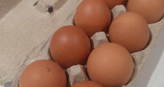 numérotation oeufs
