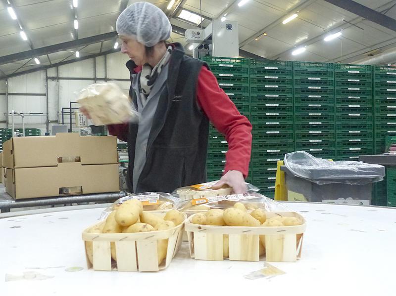 Appât Poisson Noueux – Leurre Souple Imprimé En PVC Résistant, Pour Eau Salée Et Eau Douce, Nage Réaliste