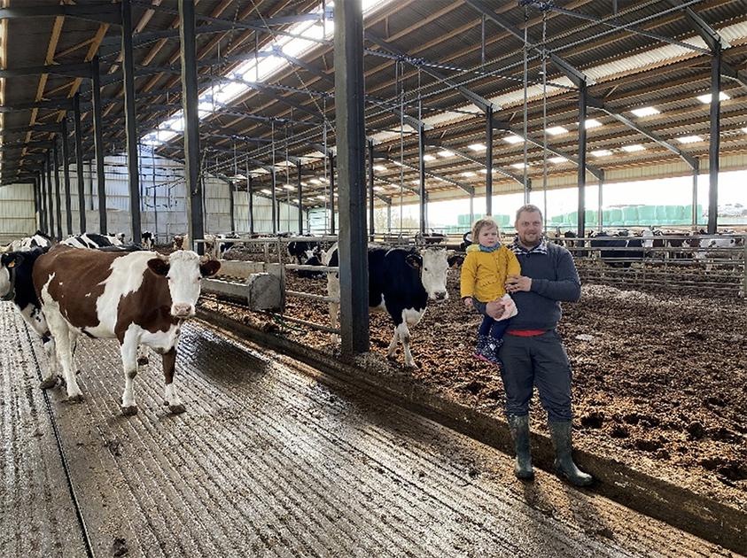 Vaches à viande et vaches à lait - Express Farming