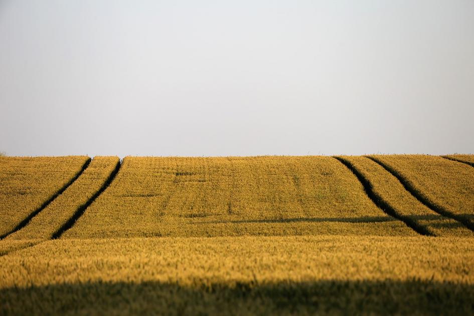 PAC Versement des aides PAC le point sur le calendrier Action agricole Picarde