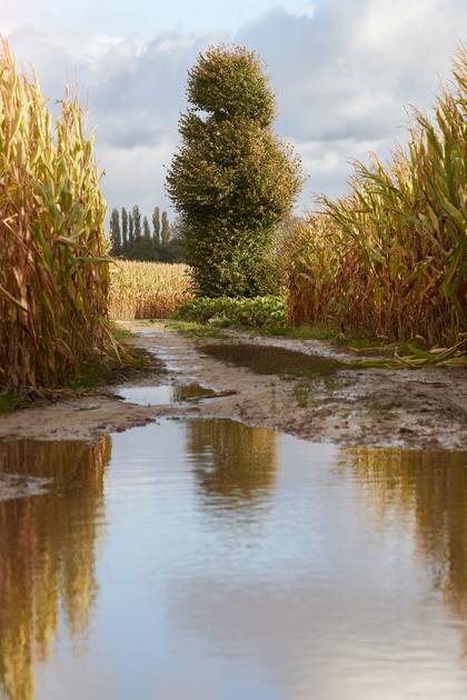Climat | Un El Niño «historique» menace les récoltes mondiales en 2027