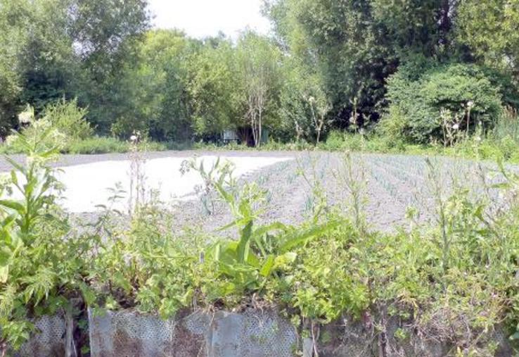 Sur 350 ha de terres dans les hortillonnnages, une vingtaine est exploitée par des agriculteurs. Une réflexion sur la mise 
en place d’un signe officiel de qualité et de l’origine est engagée pour accroître la visibilité des produits issus de ce site.