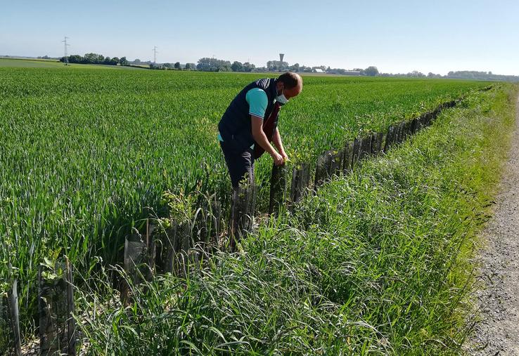 La plantation qui fait l’objet d’une demande d’aide ne doit pas compenser un arrachage réalisé ailleurs.