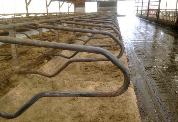 Le sable dans la logette procurera aussi un aspect non glissant au béton.