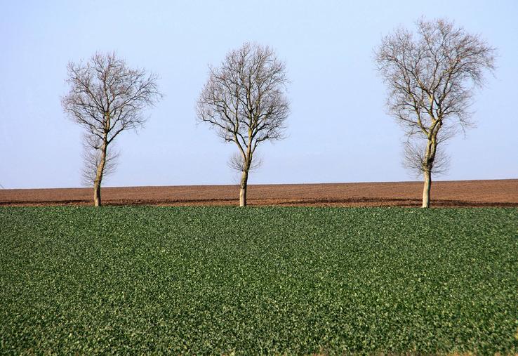 Si vous souhaitez revoir ce webinaire, il est disponible sur la chaine Youtube de Terres Inovia.