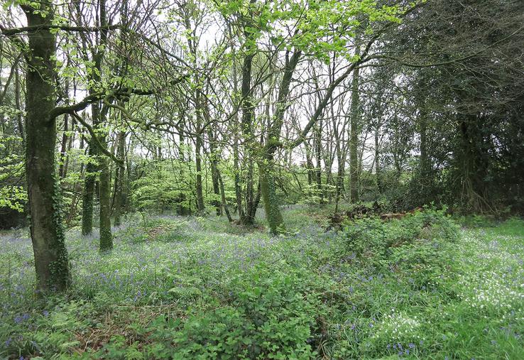 Toutes parcelles boisées vendues doivent être notifiées aux voisins de la parcelle contiguë.