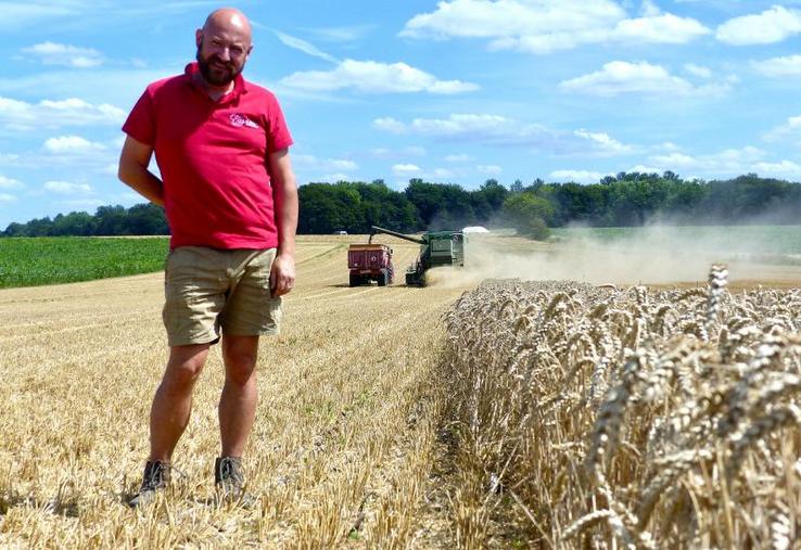 Pour Édouard Guilbart, la moisson rythme aussi avec plantation : celle des couverts, semés en direct, presque derrière la batteuse pour profiter de la fraîcheur du sol.