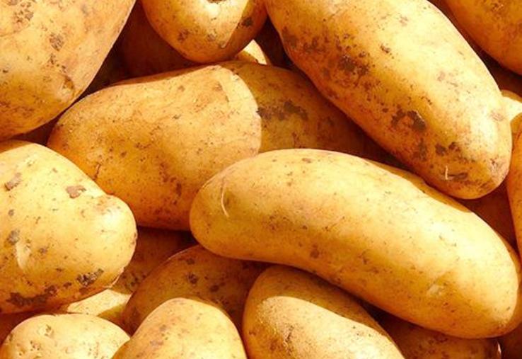 Compte tenu des conditions de récolte en 2019, une attention particulière est à apporter au stockage.