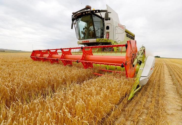 On observe un important report de semis de blé tendre et d'orges d'hiver qui n'ont pas pu être réalisés : les surfaces d'orges de printemps sont en hausse de 19 % par rapport à 2019.