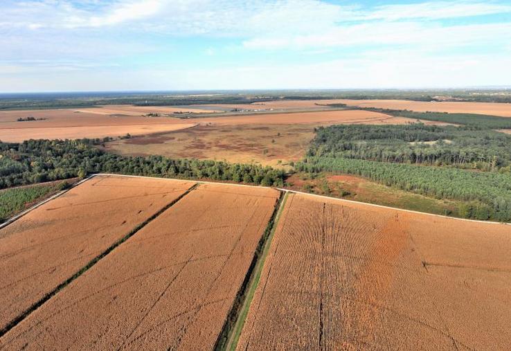 L’importance accordée aux investissements chinois, en particulier sur la question de l’accaparement des terres, est souvent exagérée.