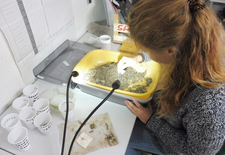 Analyses de pelotes de réjection