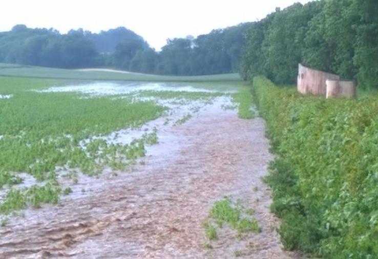 Impact du ruissellement dans la zone des captages de Morchain, lors des orages de 2015.